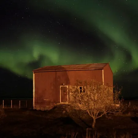 Lofoten - The Holiday home *