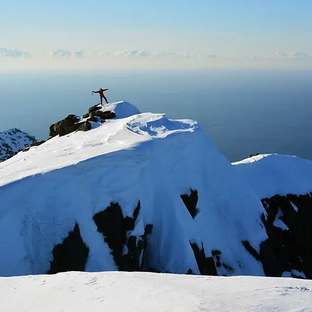 Lofoten - The *