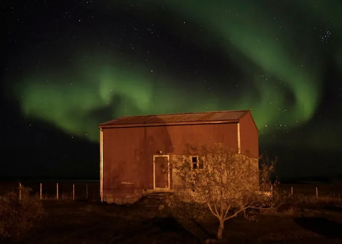 Lofoten - The Ferienhaus *