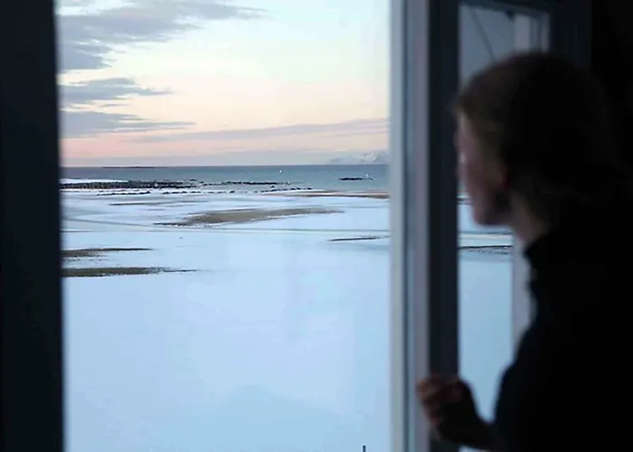 Ferienhaus Lofoten - The *